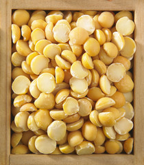 dhal