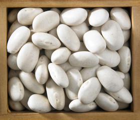 white beans