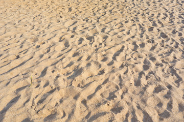 Fototapeta na wymiar sand beach