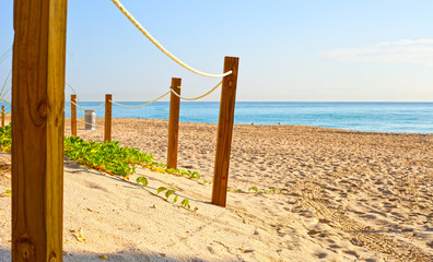 Path on the sand going to the ocean in Miami Beach Florida at sunrise or sunset, beautiful nature landscape