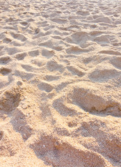 sand beach