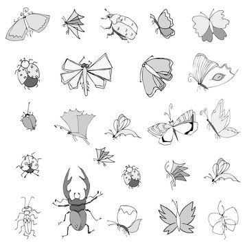 Collection of hand drawing insects