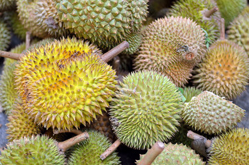 Group of durian in the market...