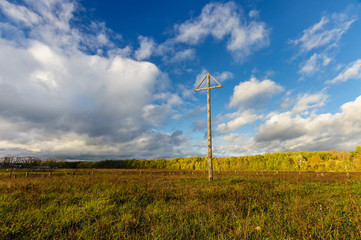Edge of a wood against the sky with white clouds.