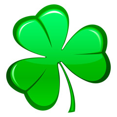 Leaf clover Shamrock. isolated on white background