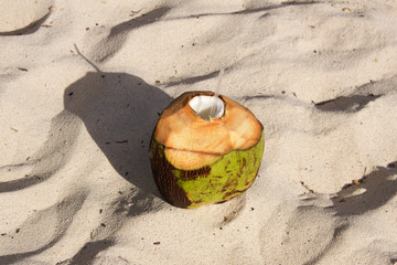 Coconut drink