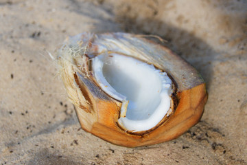 Coconut-section