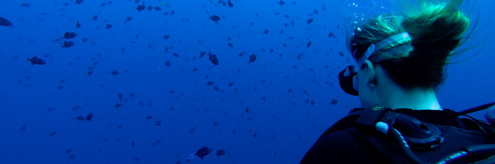 Woman from behind watching the fish underwater at Bunaken island