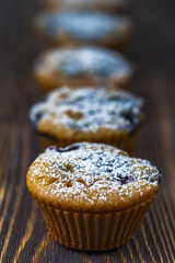 Muffins with black currants standing in a row