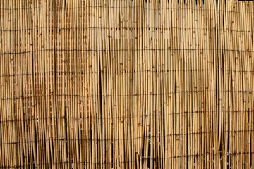 bamboo texture
