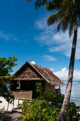Fototapeta na wymiar Lonely Nipa Hut on stilts with palm tree at a Beautiful Beach in front of the ocean