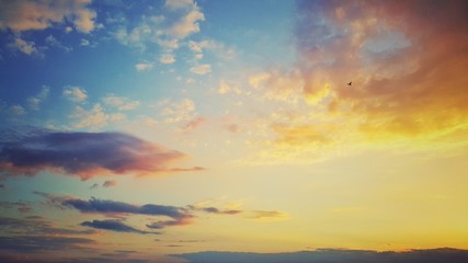 Naklejka na ściany i meble Beautiful cloudscape, colorful sunrise and flying bird in the sky