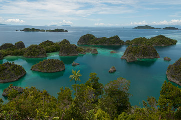 Many small green Islands belonging to Fam Island in the sea of Raja Ampat, Papua New Guinea