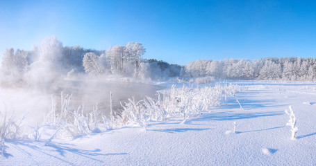 Frosty winter nature