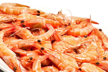 shrimp fresh seafood