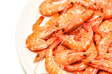 shrimp fresh seafood