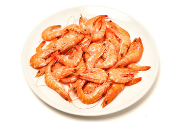 shrimp fresh seafood