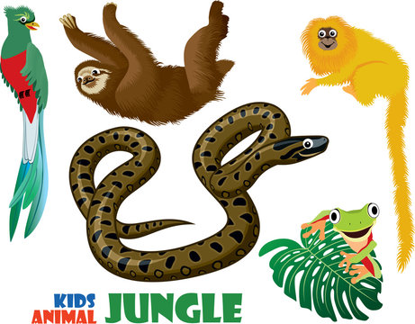 vector set of cute jungle kids animals