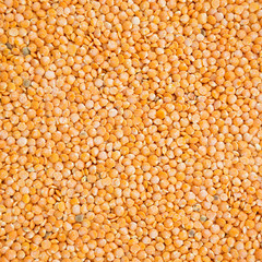 Lentils texture background or pattern. Raw food.