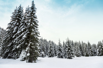 Winter landscape  in mountains Julian Alps