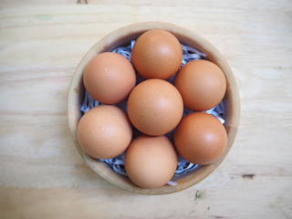 fresh chicken egg brown color