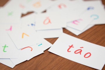 Vietnamese; Learning the New Word with the Alphabet Cards; Writi
