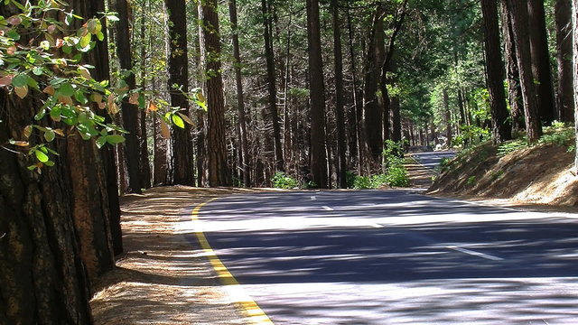 Beautiful Road through Yosemite