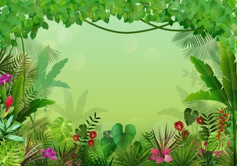 Tropical background beautiful 