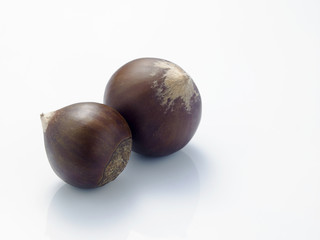 chestnut