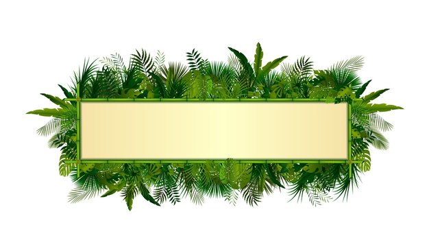 Tropical plants background. rectangle floral frame with space for text in concept bamboo