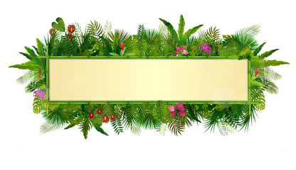 Obraz premium Tropical plants background. rectangle floral frame with space for text in concept bamboo