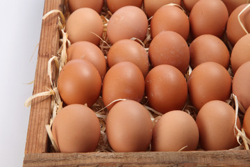 eggs