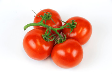 tomato on white background