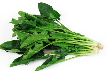 fresh green spinach on white background