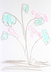child's drawing of birds on branches