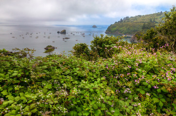 CA-Redwoods National Park-The Pacific Ocean is a spectacular sight along the coast of Northern California.