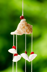 The seashells mobiles with colorful and the green background