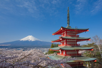 Obraz premium Japan beautiful landscape Mountain Fuji and Chureito red pagoda with cherry blossom sakura
