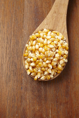 maize corn