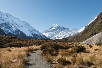 Pathway to mt Cook, Aoraki National Park, New Zealand