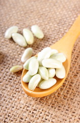Seeds of beans with wooden spoon on jute canvas, healthy food