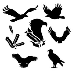 Eagle set vector