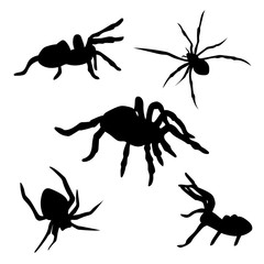 Spider set vector