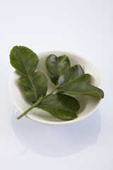  bergamot leaf