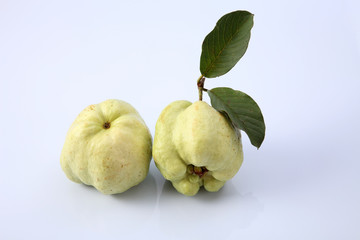 guava