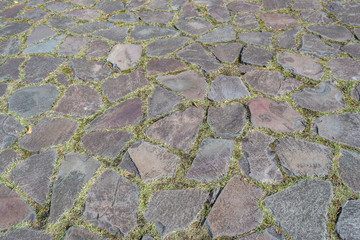Stone walkway in autumn at Hakone in Japan.