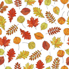 Obraz premium Autumn leaves seamless pattern