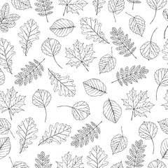 Autumn leaves seamless pattern