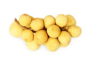 Wollongong isolated on the white background