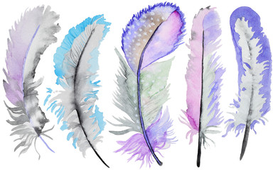 Watercolor feathers set